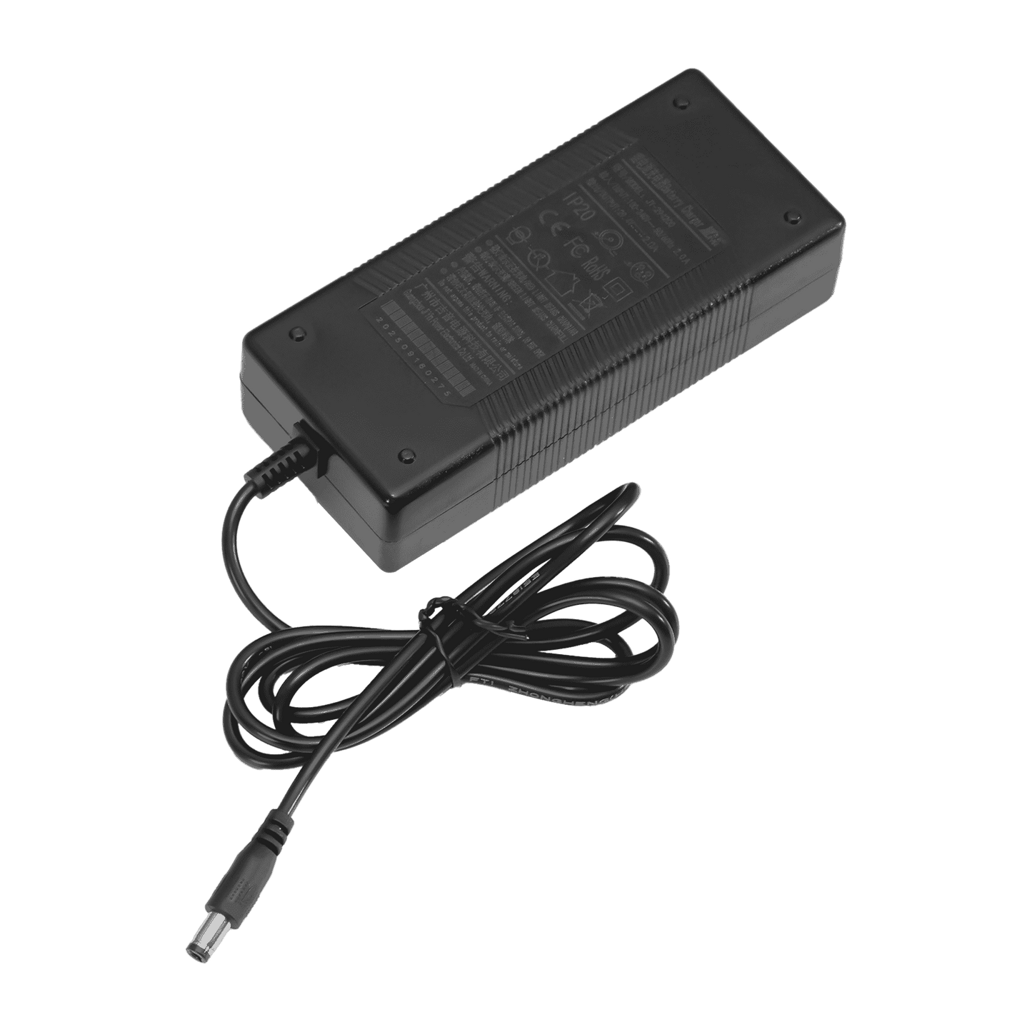 CareChair 6M 2A Charger